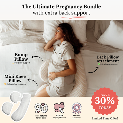 Pillow + Back Attachment