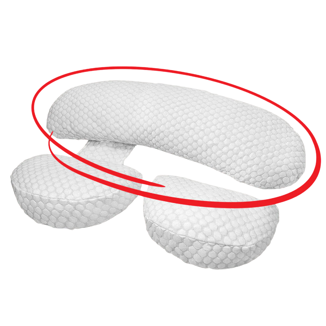Pillow + Back Attachment